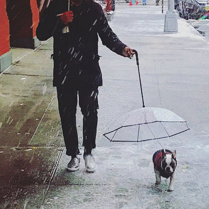 Transparent Umbrella With Traction Chain