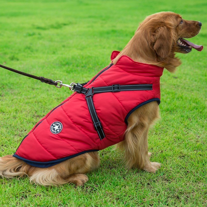 Integrated Dog Vest