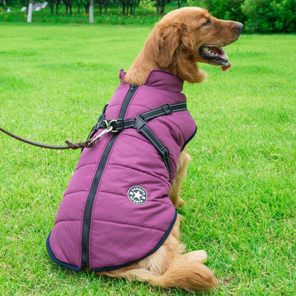 Integrated Dog Vest