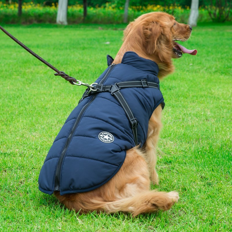 Integrated Dog Vest