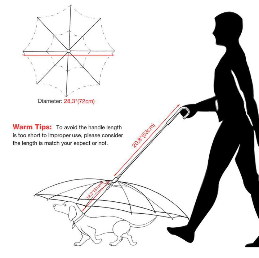 Transparent Umbrella With Traction Chain