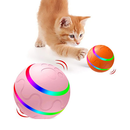 Cat Wicked Ball Toy