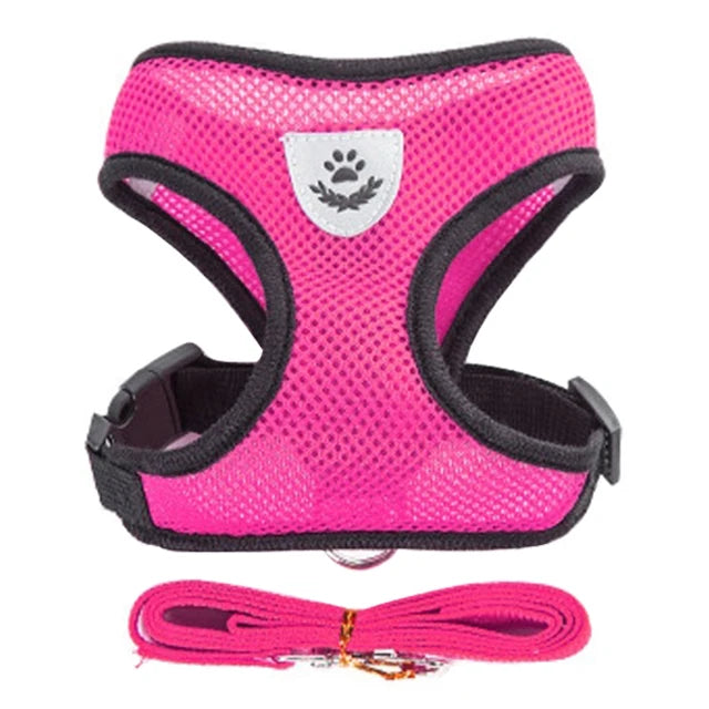 Adjustable Cat Harness Set