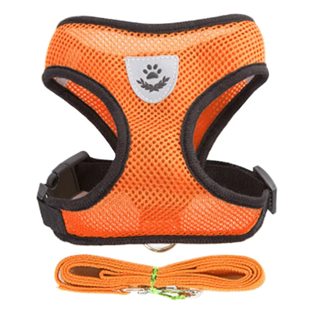 Adjustable Cat Harness Set