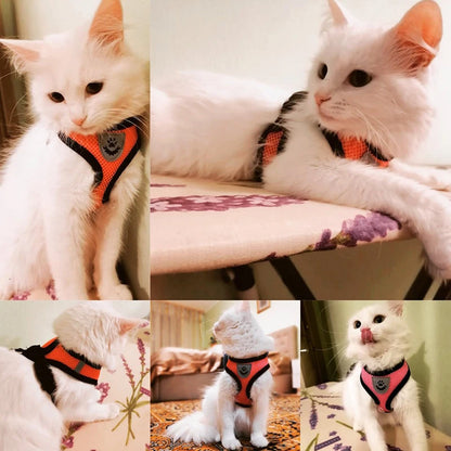 Adjustable Cat Harness Set