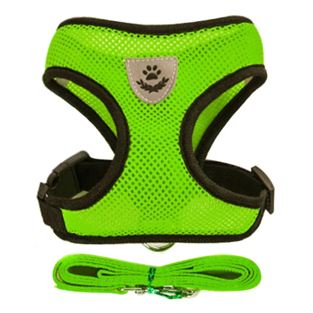 Adjustable Cat Harness Set