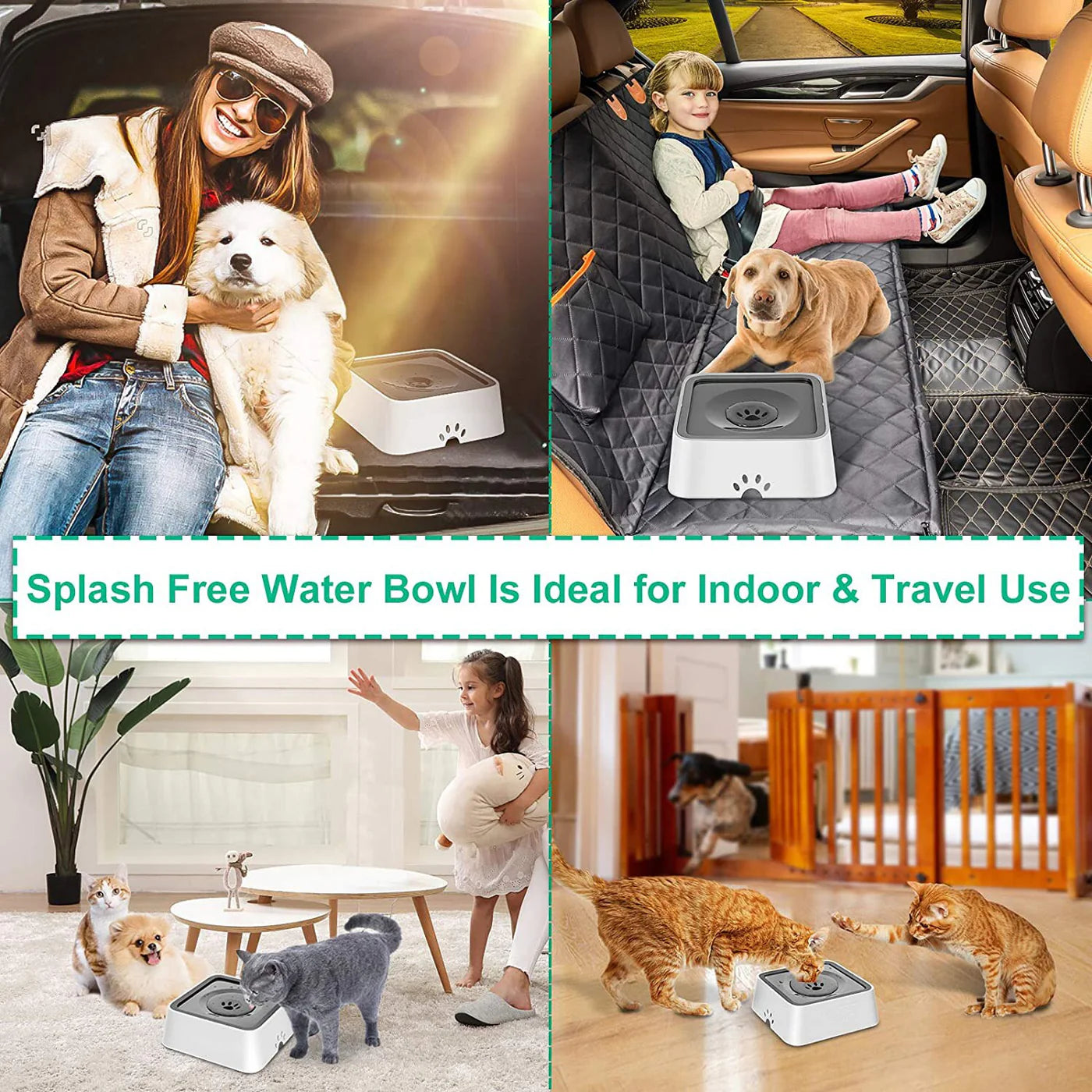 Anti-Spill Water Bowl