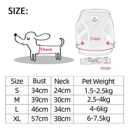 Adjustable Cat Harness Set