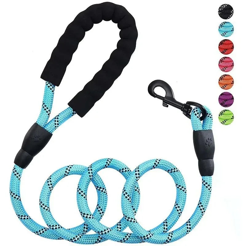 Reflective Leash for Small Dog