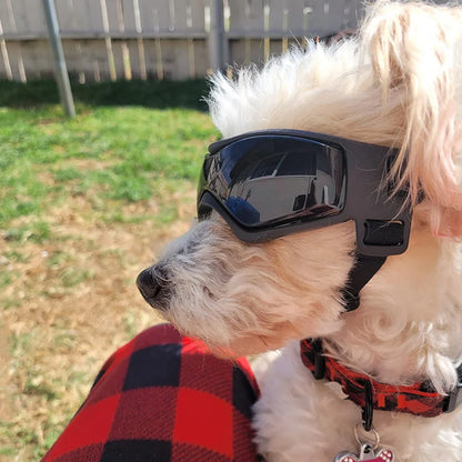 Dog UV Protection Sunglasses