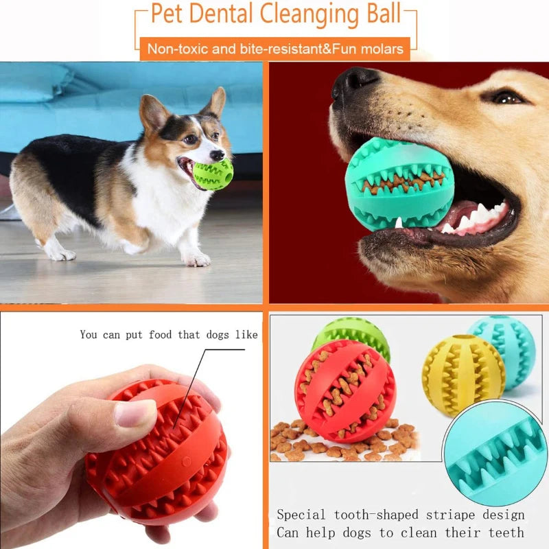 Teeth Cleaning Dog Treat Dispenser Ball