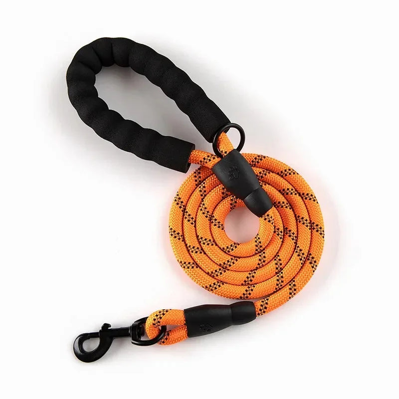 Reflective Leash for Small Dog