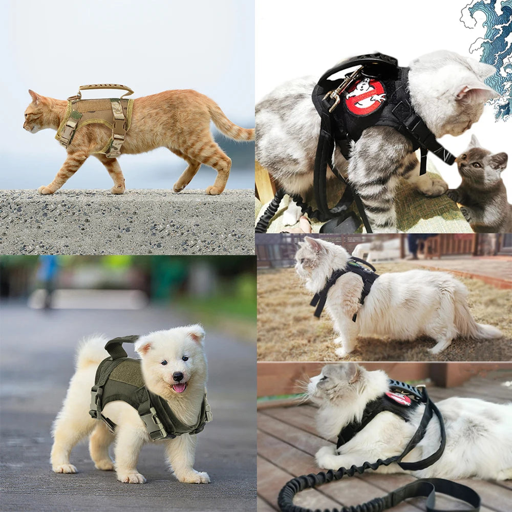 Tactical Cat Harness Set