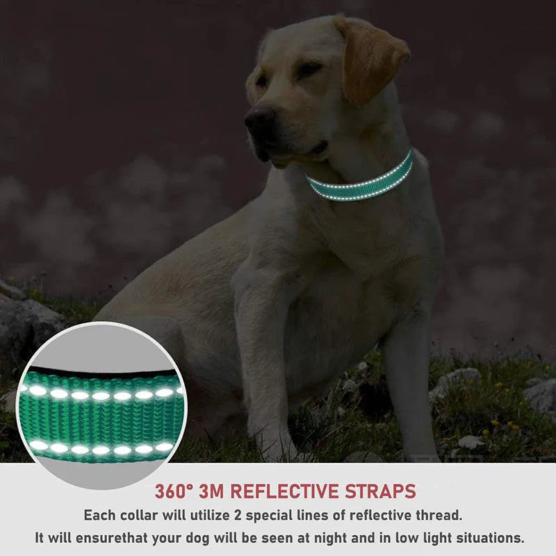 Reflective Dog Collar Strap With Adjustable Safety Rope