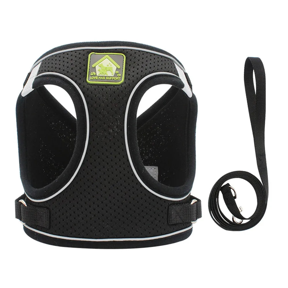 Breathable Cat Harness & Leash