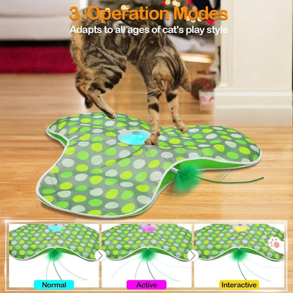 Interactive Hide and Seek Cat Toy with Mouse