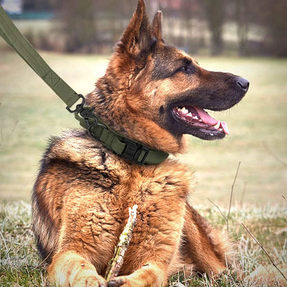 Durable Tactical Leash Set