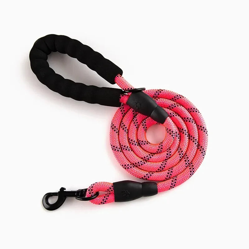 Reflective Leash for Small Dog