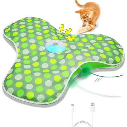 Interactive Hide and Seek Cat Toy with Mouse