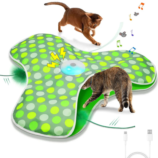 Interactive Hide and Seek Cat Toy with Mouse