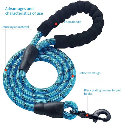 Reflective Leash for Small Dog