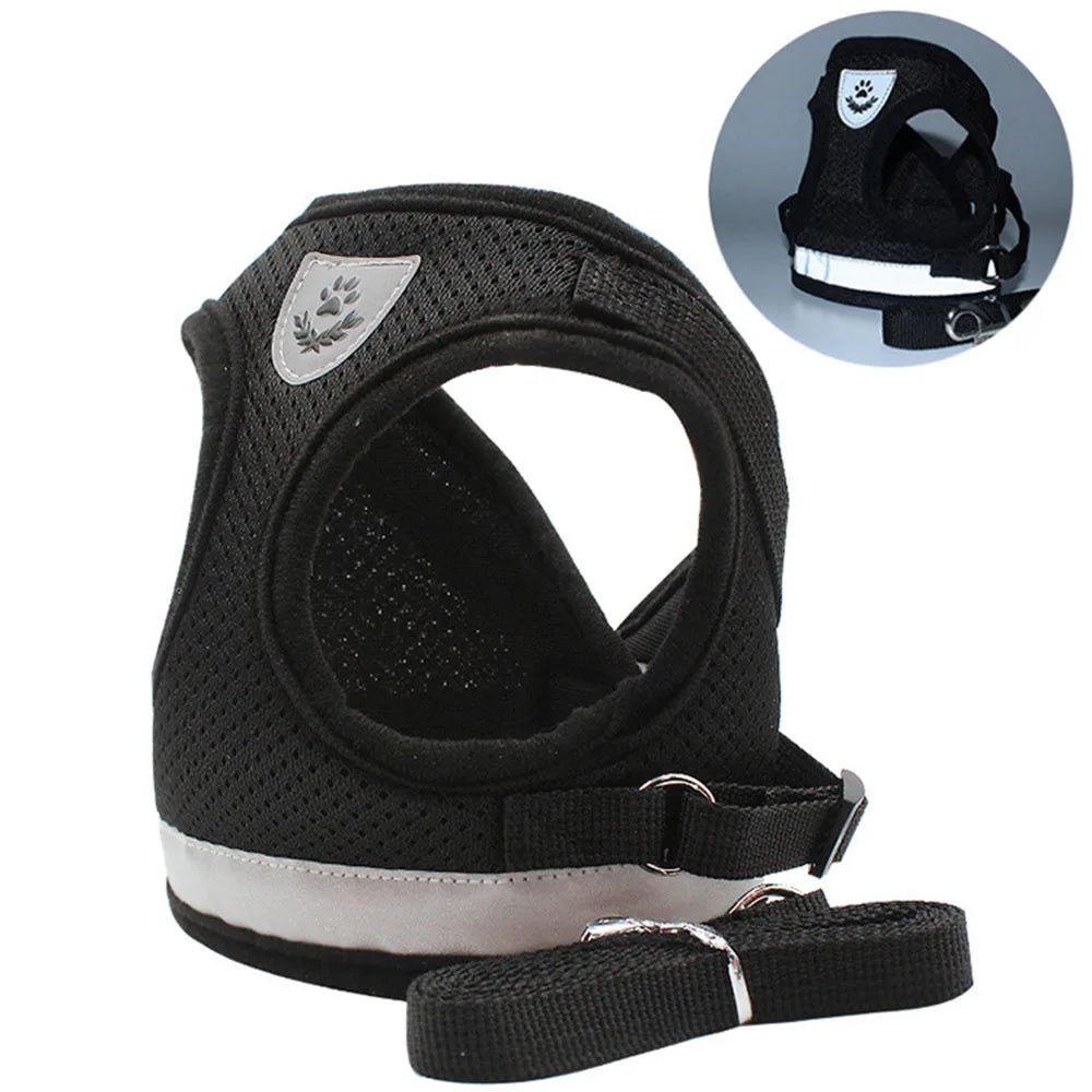 Breathable Cat Harness & Leash