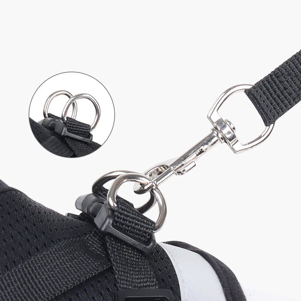 Breathable Cat Harness & Leash