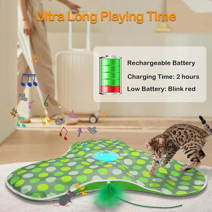 Interactive Hide and Seek Cat Toy with Mouse