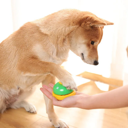 Interactive Cat Training Ring