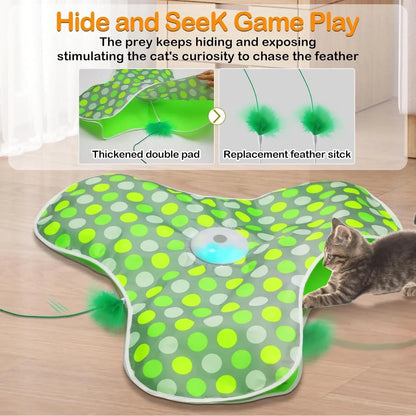 Interactive Hide and Seek Cat Toy with Mouse