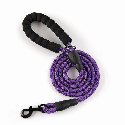 Reflective Leash for Small Dog