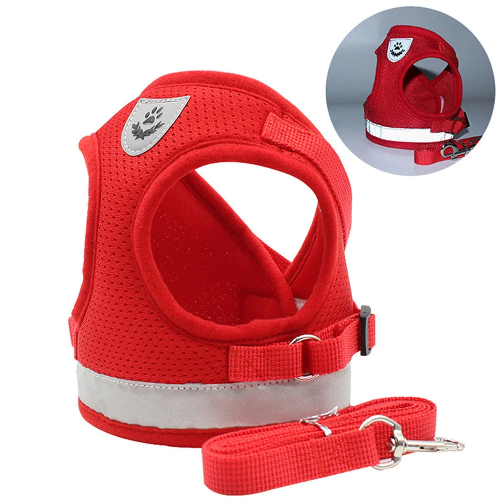 Breathable Cat Harness & Leash