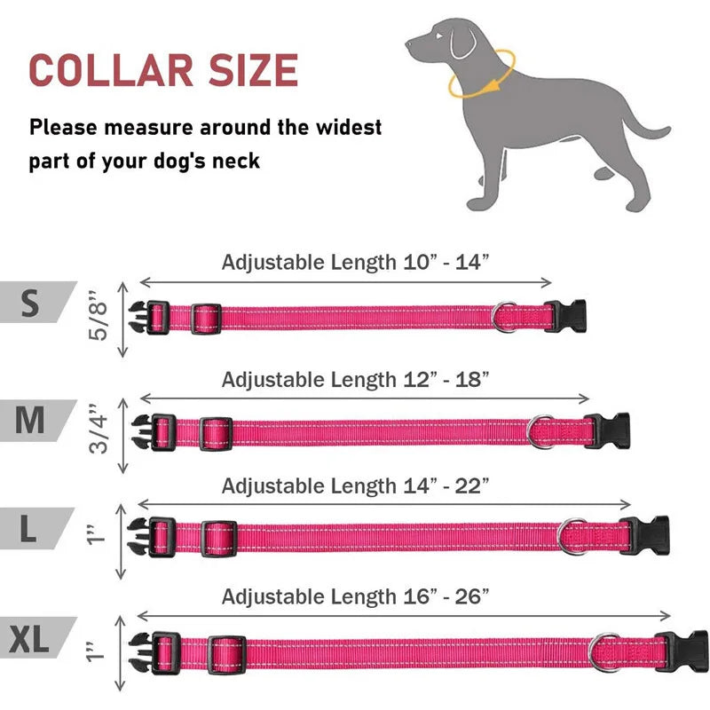 Reflective Dog Collar Strap With Adjustable Safety Rope