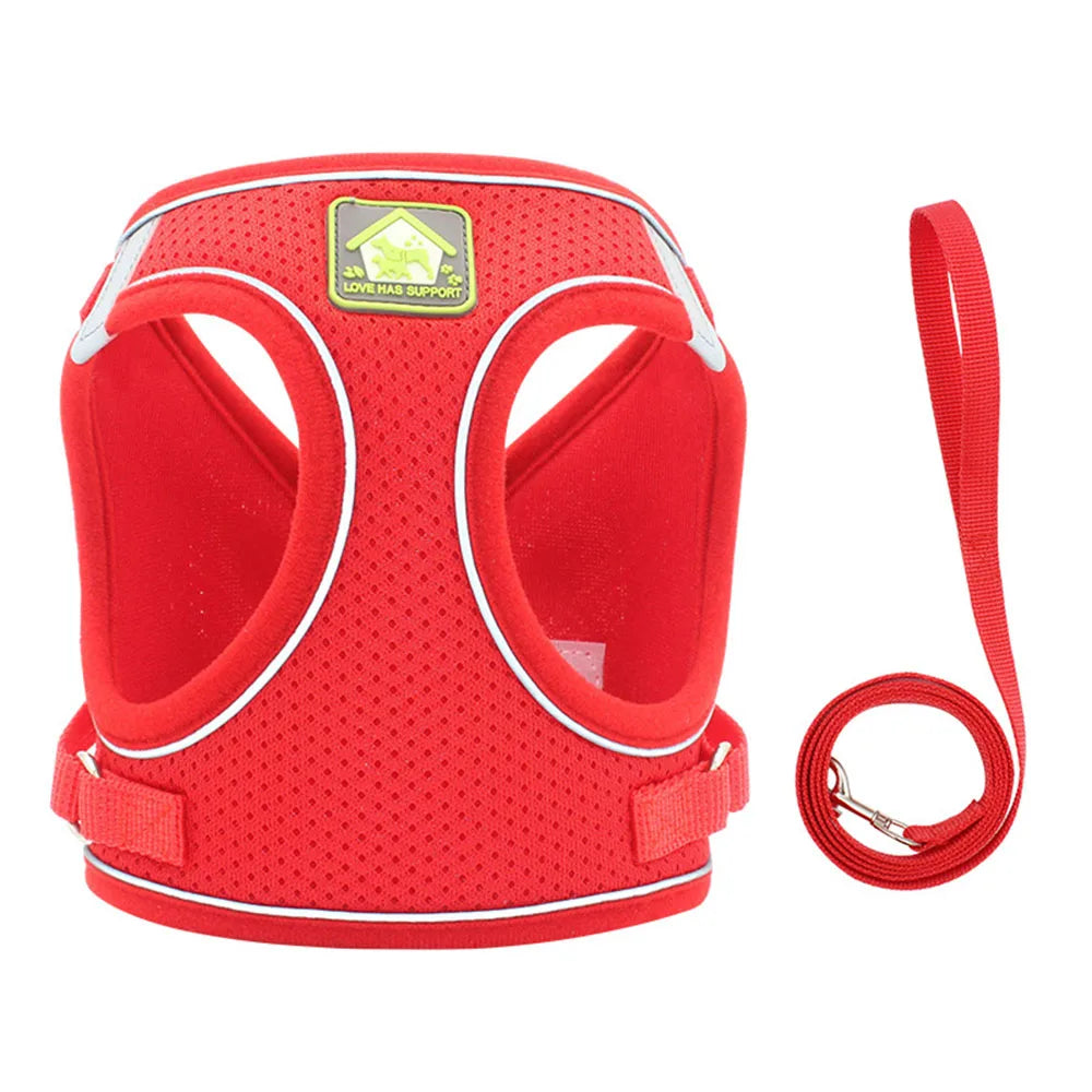 Breathable Cat Harness & Leash