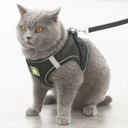 Reflective Pet Harness And Leash Set