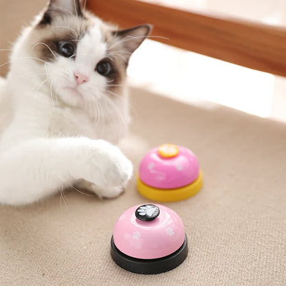 Interactive Cat Training Ring