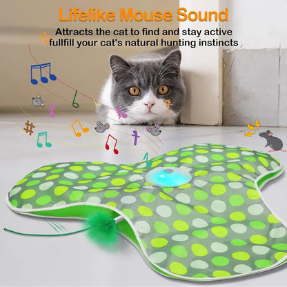 Interactive Hide and Seek Cat Toy with Mouse