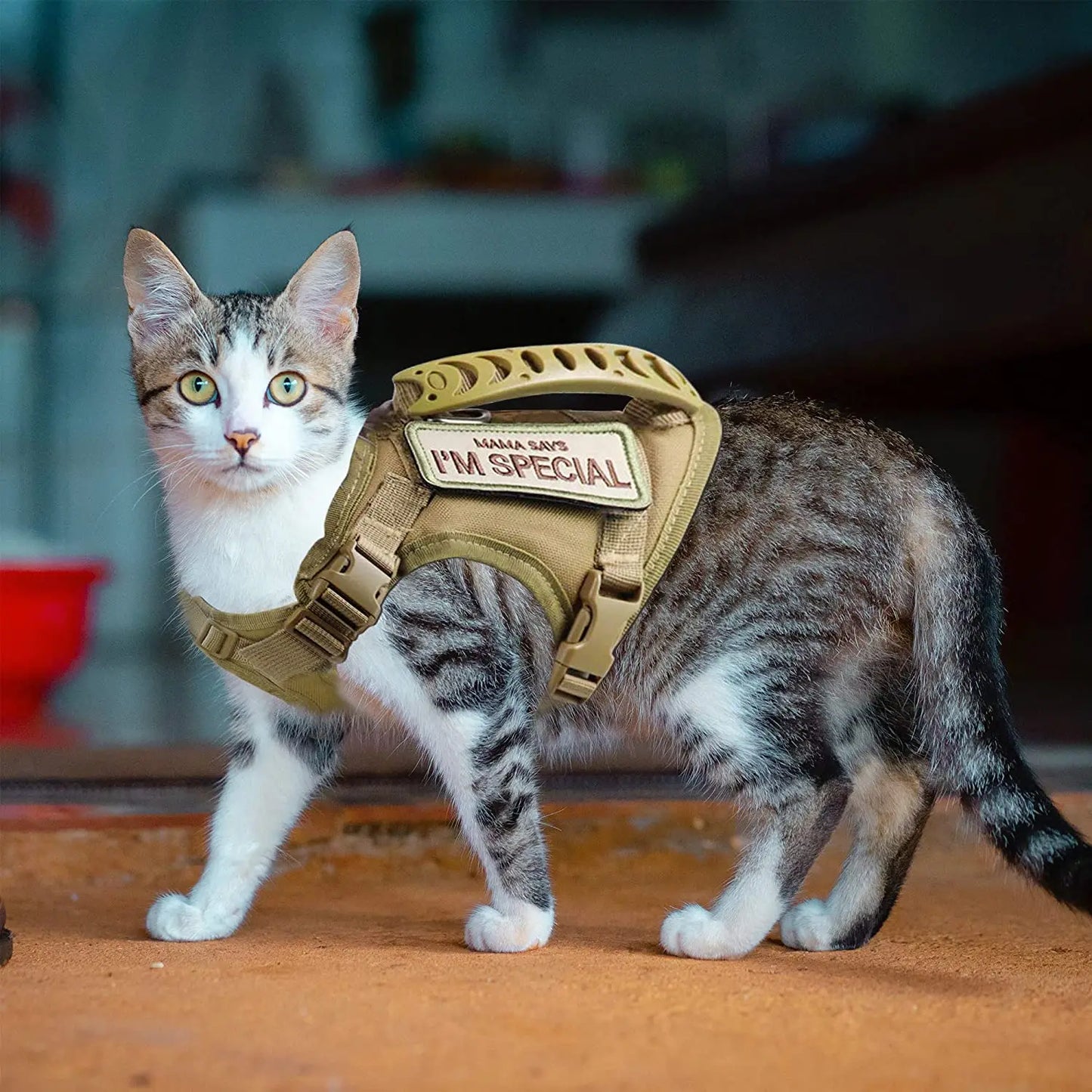 Tactical Cat Harness Set