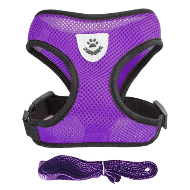 Adjustable Cat Harness Set