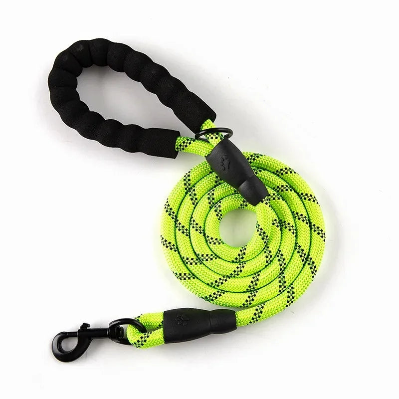 Reflective Leash for Small Dog