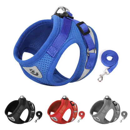 Breathable Cat Harness & Leash