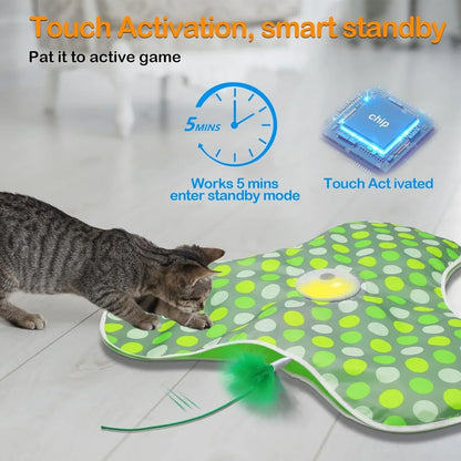 Interactive Hide and Seek Cat Toy with Mouse