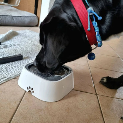 Anti-Spill Water Bowl